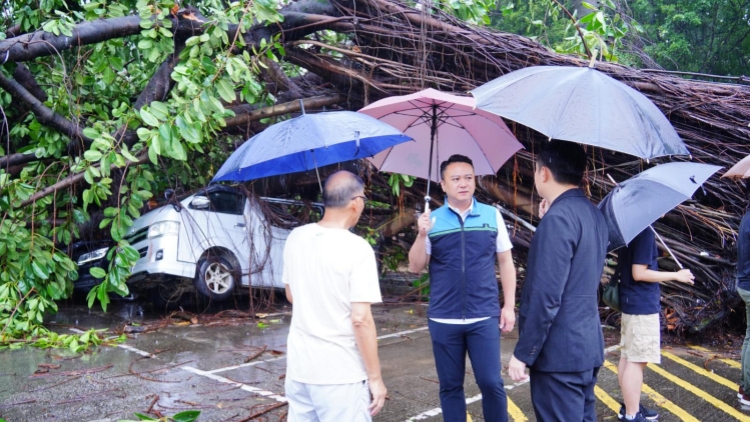 韋帕襲港｜李世榮聯同政府各部門 跟進小瀝源村風暴期間塌樹事宜