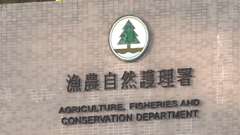 7·22起受颱風「韋帕」影響農戶可向漁護署申請緊急救援基金