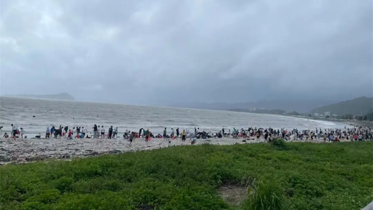 廣東海灘颱風後出現大量海鮮 專家：不宜食用
