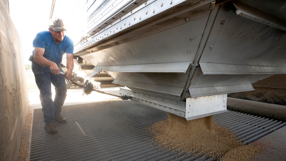 極端天氣頻發 多國基本食品大幅漲價