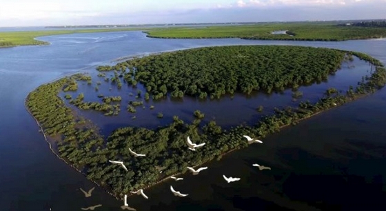 中國新增9個「國際濕地城市」