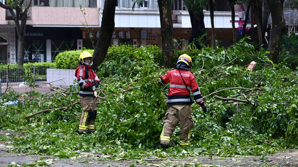 記者手記｜為香港速度點讚