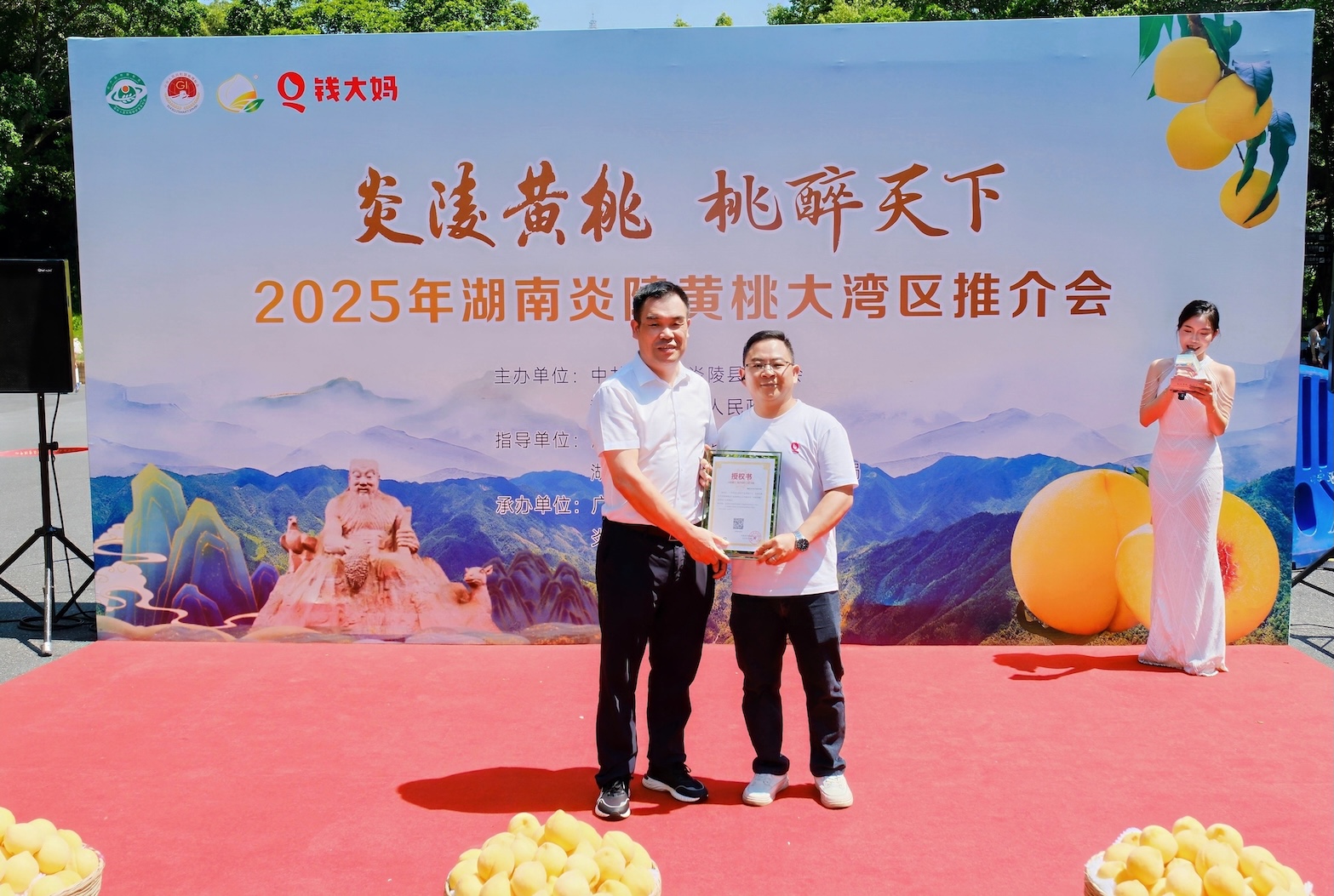 地理標誌「炎陵黃桃」登上廣州地標白雲山 錢大媽助力大灣區實現「早晨採摘下午嘗鮮」