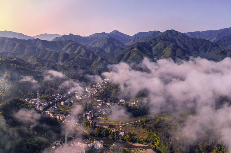 皖休寧汪村鎮：黨建引領聚合力 全面振興繪新卷