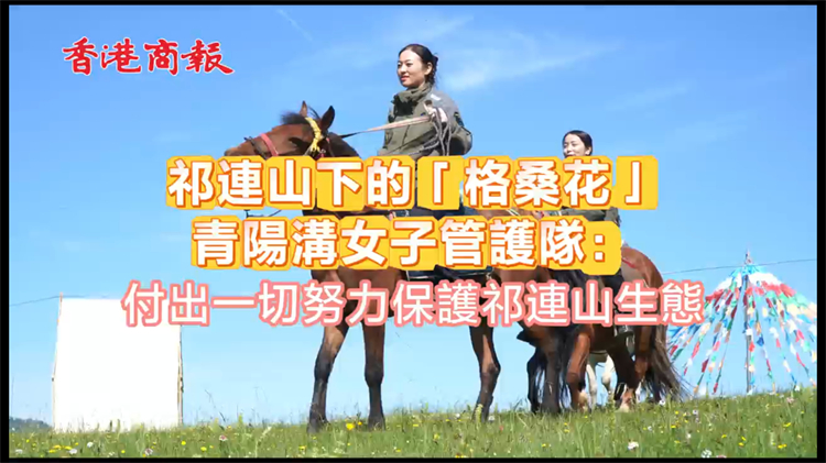 有片丨祁連山下的「格桑花」 青陽溝女子管護隊：付出一切努力保護祁連山生態