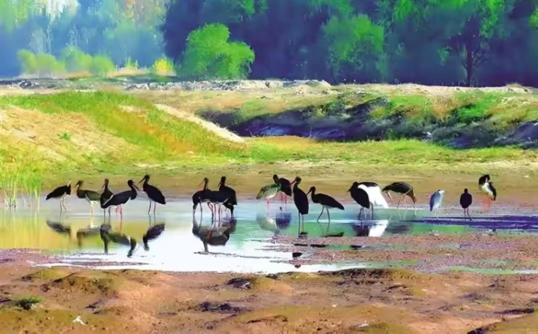 山西晉中：繪青綠畫卷 築生態屏障