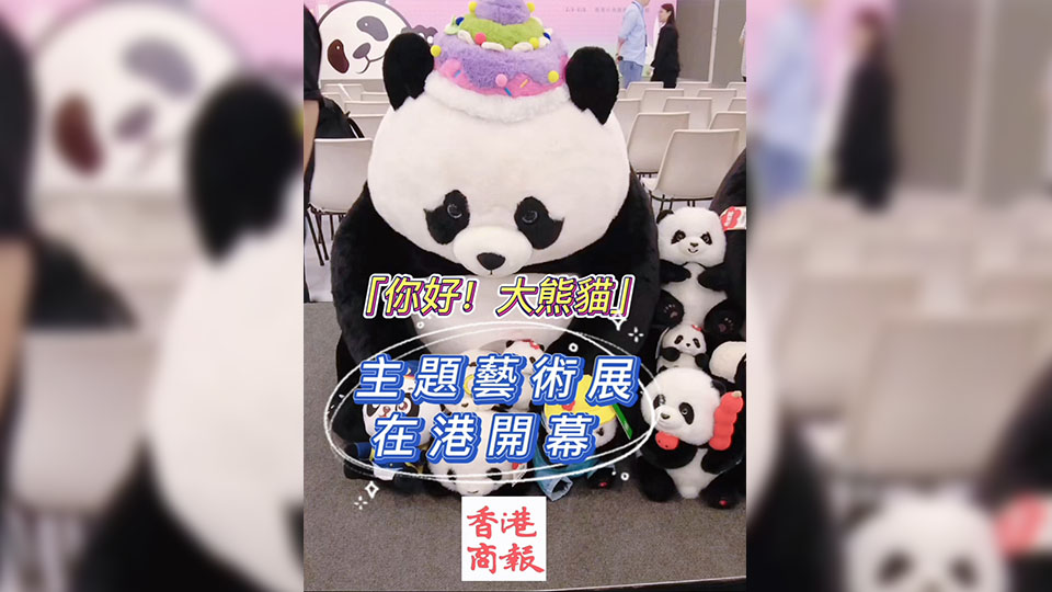 有片丨「你好！大熊貓」主題藝術展在港開幕