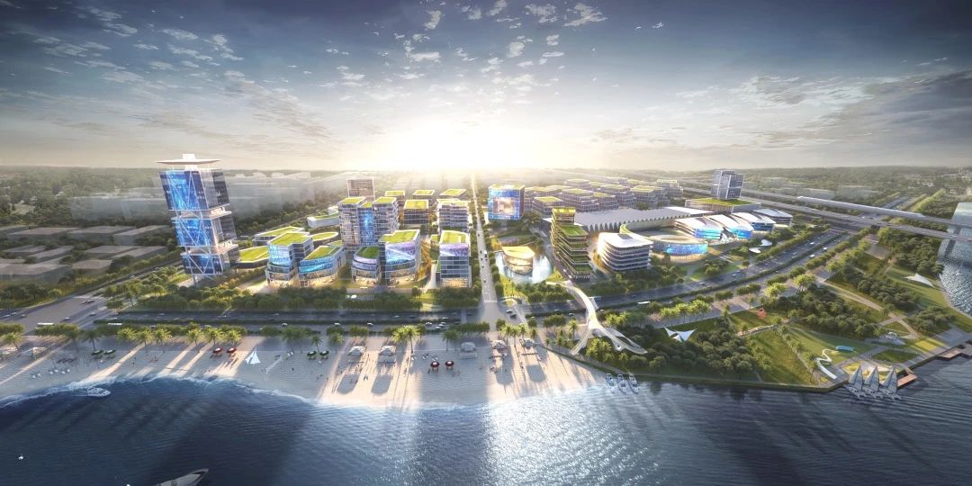 院士專家、企業家齊聚泉廈金生命健康矽谷