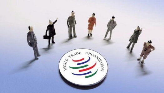巴西就美加徵關稅向世貿組織提請磋商 