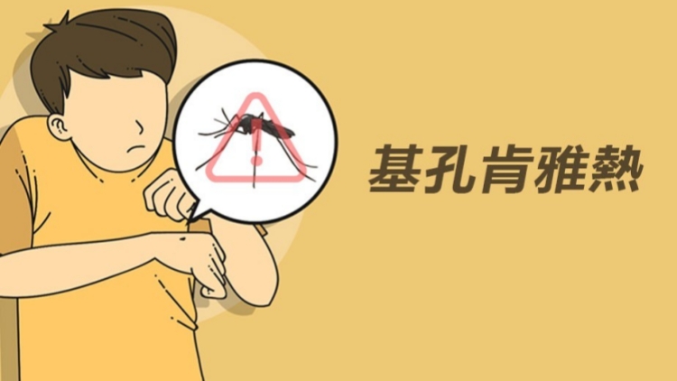 網售基孔肯雅熱快測 衞生署：未獲認證