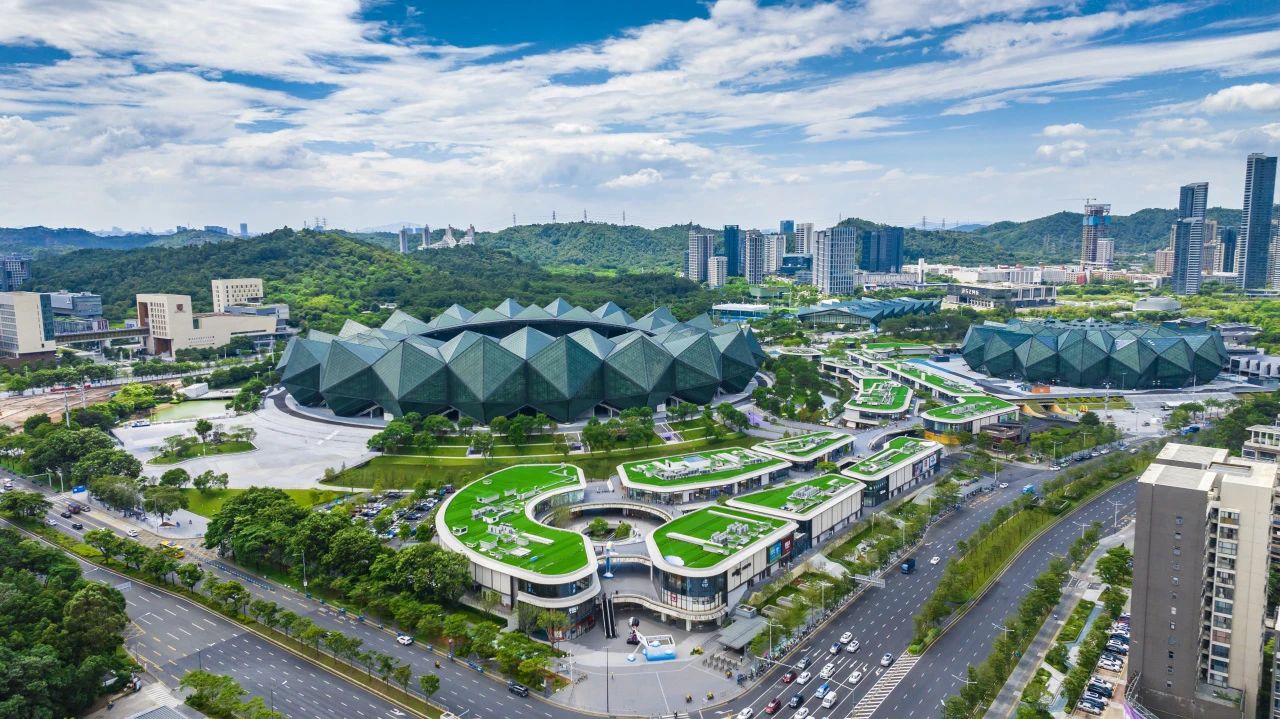 十五運下周開賽！龍崗發布深圳賽區門球賽賽程