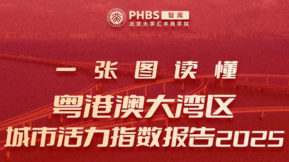 一圖讀懂粵港澳大灣區城市活力指數報告2025