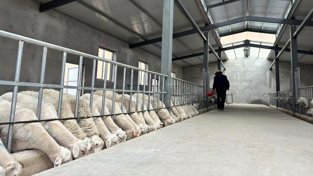 甘肅渭源：一條綠色循環經濟鏈串起多元產業