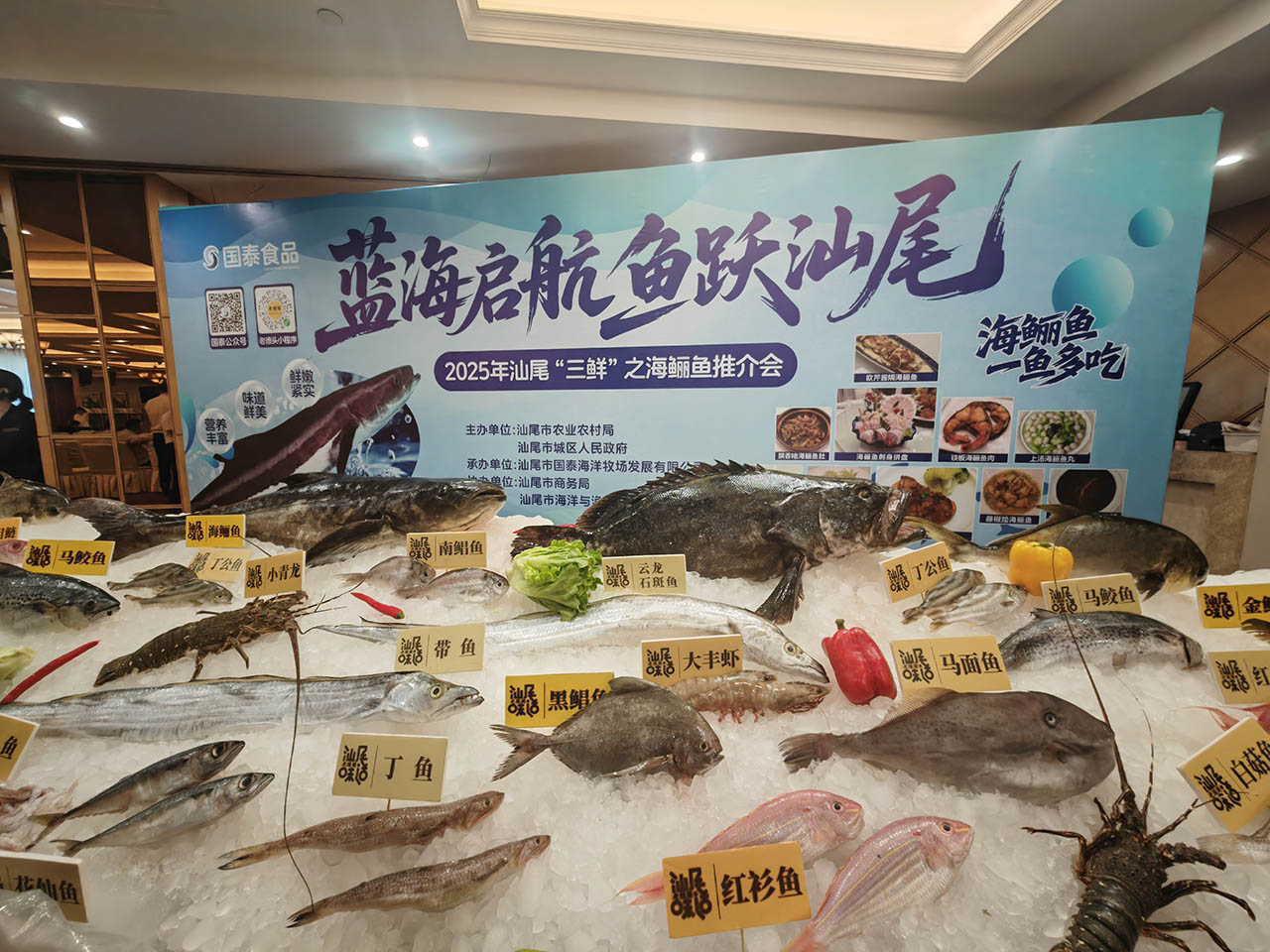 簽約千萬美元訂單 汕尾海鱺魚游出國門