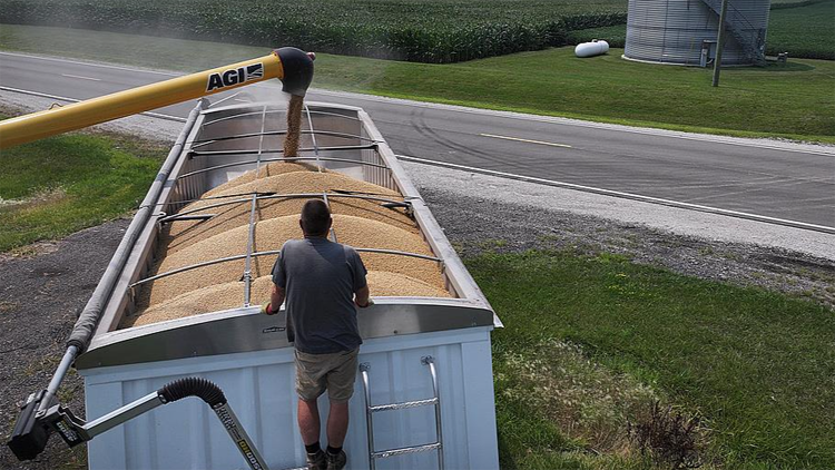 美大豆協會呼籲盡早同中國達成協議緩解豆農危機