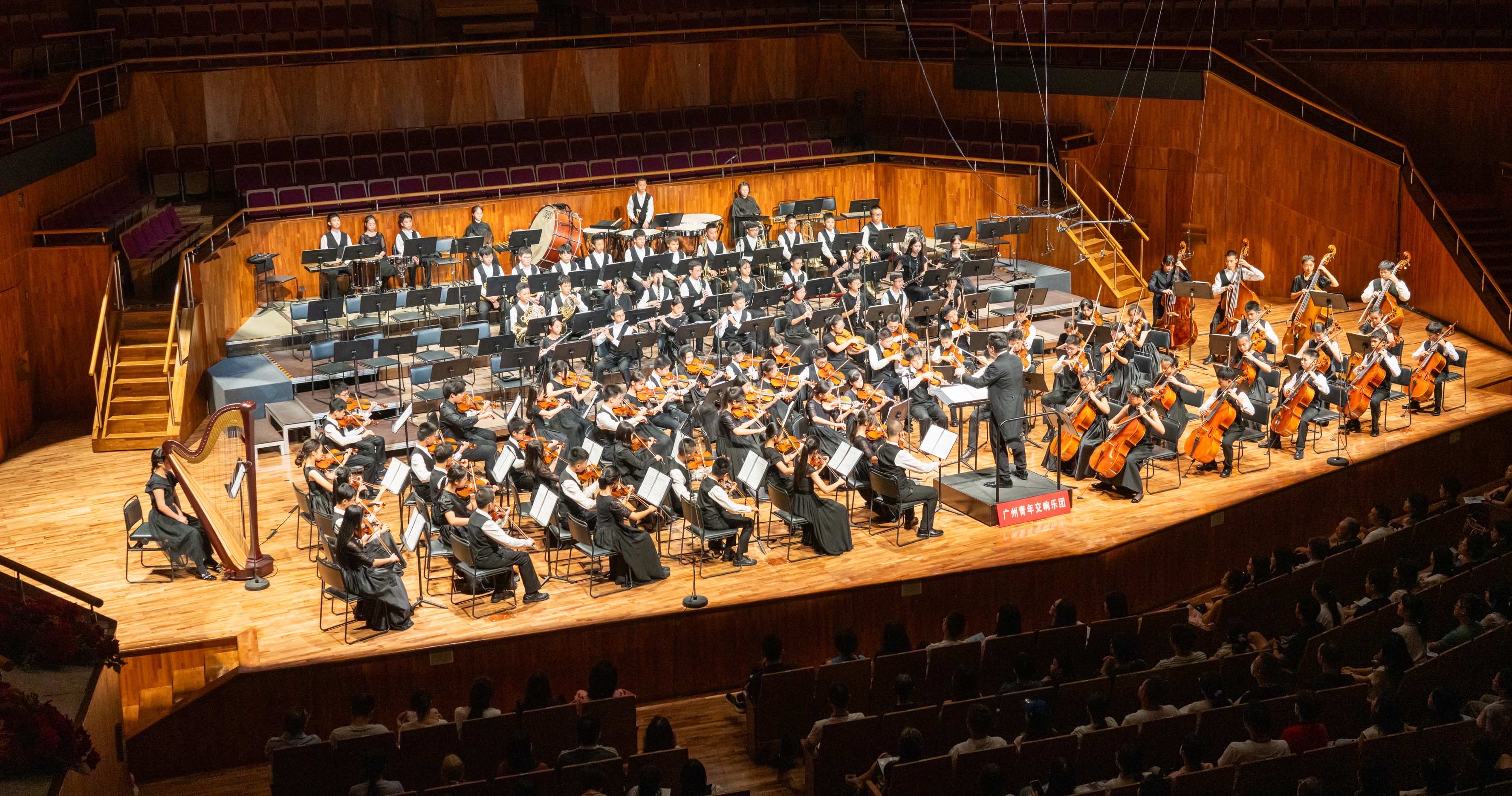 廣青交首度攜手「柴賽」獲獎小提琴家陳曦 開啟新樂季