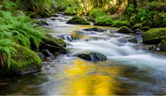 【名家看靖安】傅菲：面對一條清澈見底的長河，我是無知的