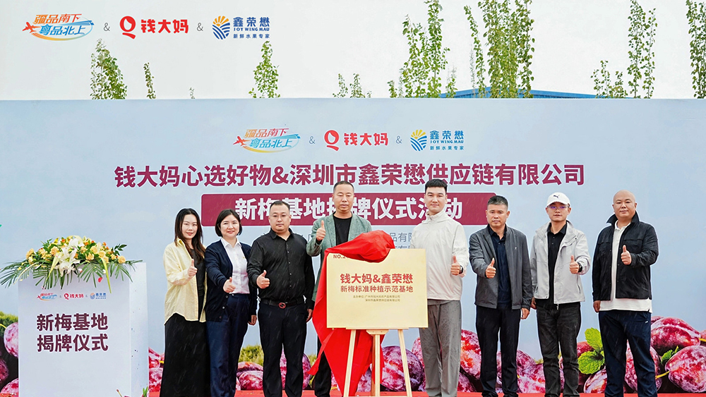 推動「疆品南下」提質升級 錢大媽攜手鑫榮懋新疆共建西梅基地