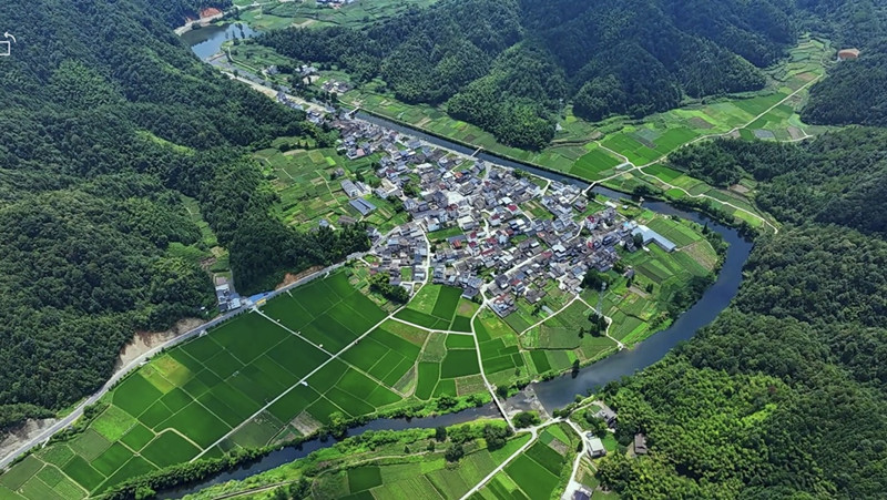 皖休寧商山鎮：持續擦亮「稻香阜田」品牌