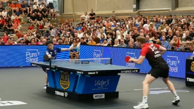 樊振東於第二場德甲比賽中落敗