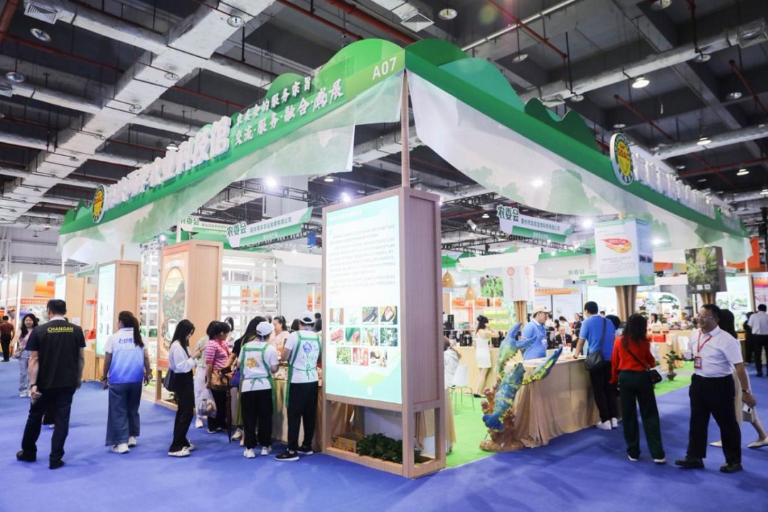 逛寶島風情品特色美食看未來科技 東莞台博會11日啟幕