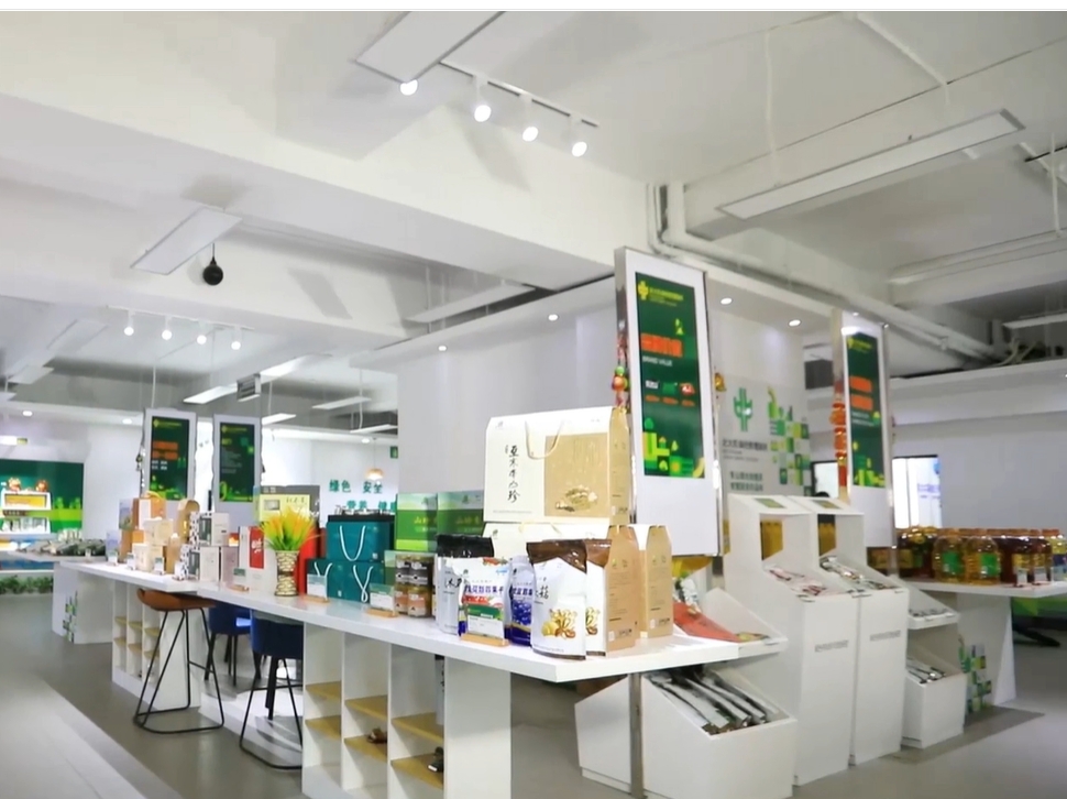 有片｜僑助千企萬品出海 黑龍江企業借對接活動尋機遇、謀出海新突破