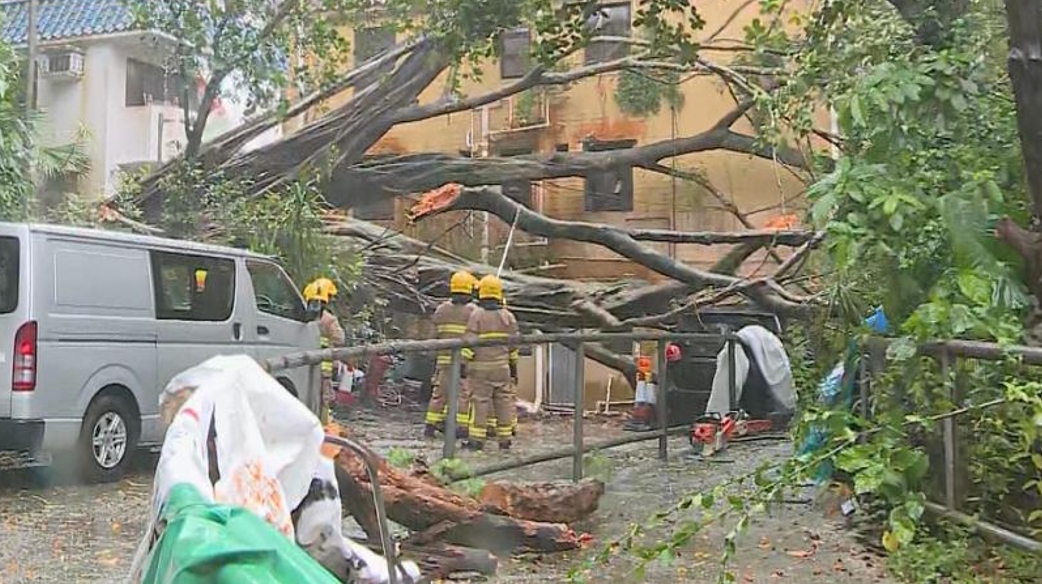 政府暫接162宗塌樹報告及3宗水浸個案 12人風暴期間受傷