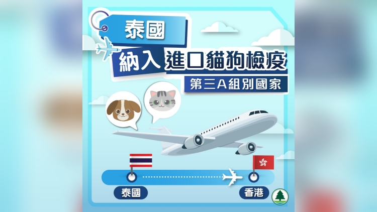 漁護署：泰國納入進口貓狗檢疫第三A組別 檢疫時間由120日大減至30日
