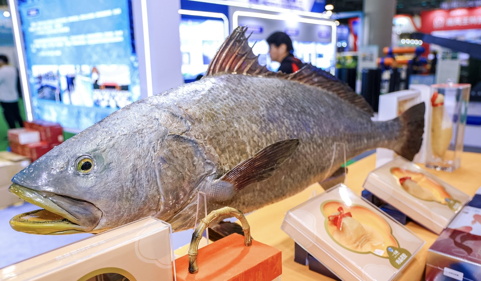  第11屆廣州國際漁業博覽會與2025年中國農民豐收節海珠分會場同期舉行