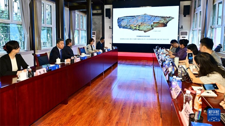 「秦始皇遣使採藥」崑崙石刻鑑定為真 定名「尕日塘秦刻石」