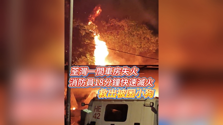 有片丨荃灣一間車房失火 消防員18分鐘快速滅火 救出被困小狗