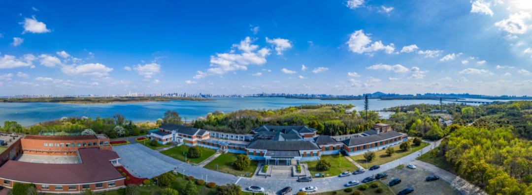 一手「王炸」！廬陽怎麼打？