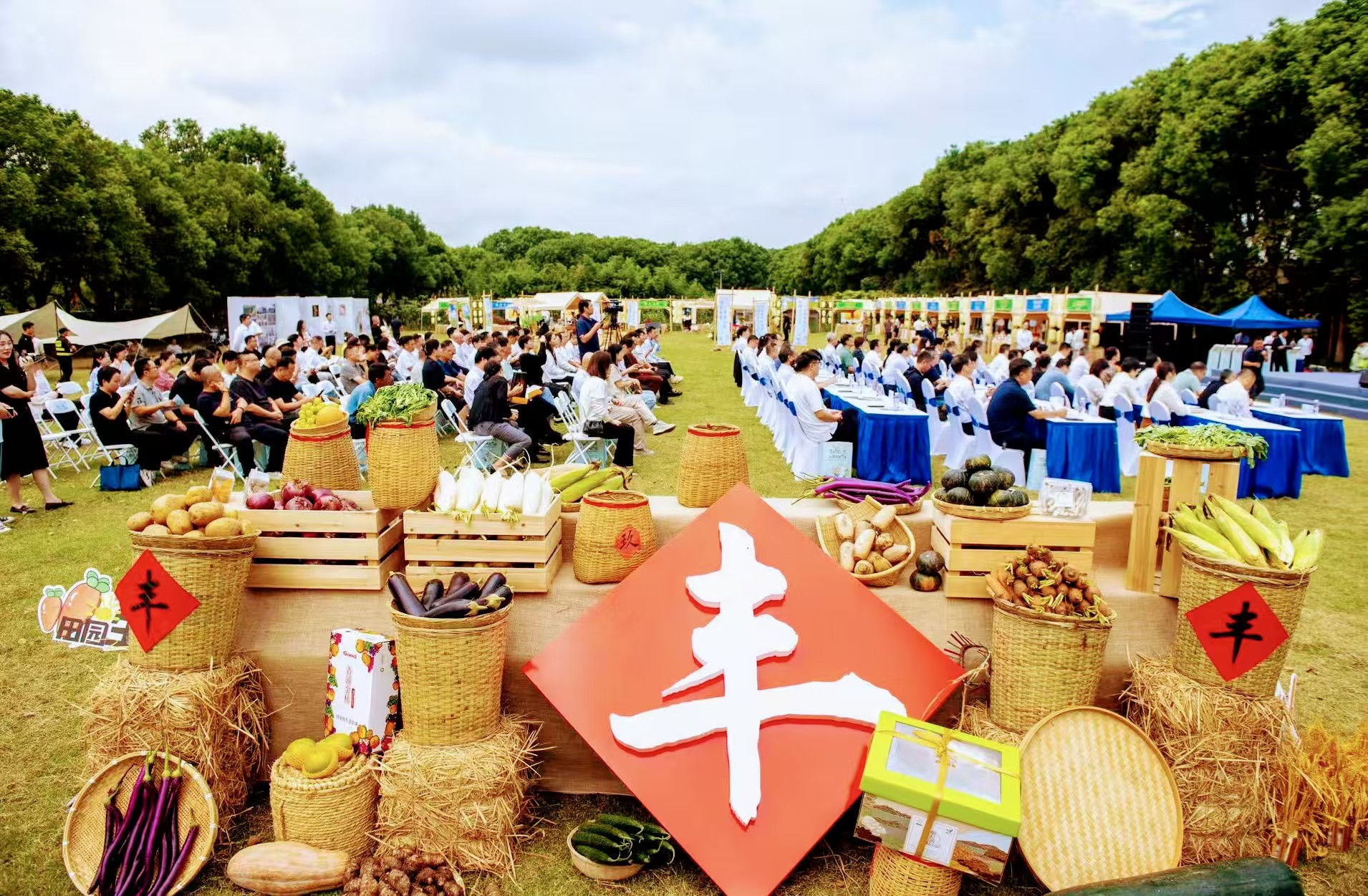  秋水映畫境  「趣」遊青浦「樂」在江南