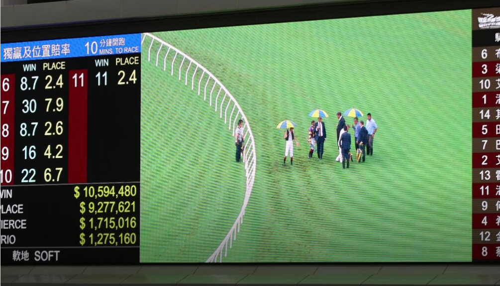 跑道受損賽事腰斬 馬會取消第九、十場賽事