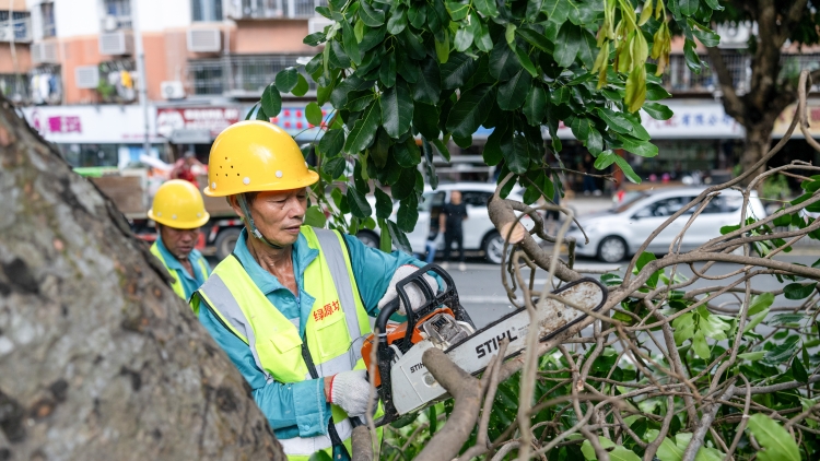 深圳市防颱風防汛緊急動員令（2025年1號）發布 實施「五停」