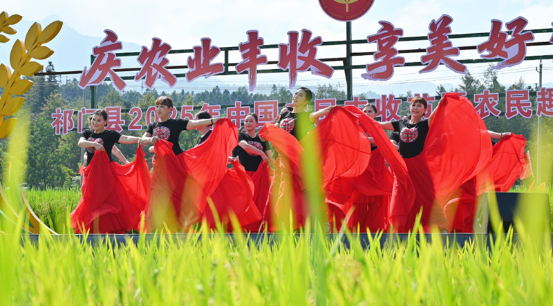 皖祁門縣：豐收圖景熾烈歡騰