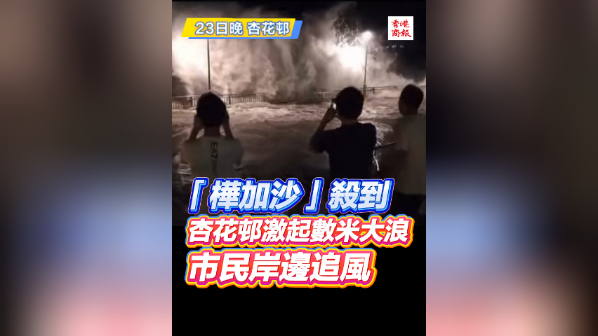 有片丨「樺加沙」殺到 杏花邨激起數米大浪 市民岸邊追風