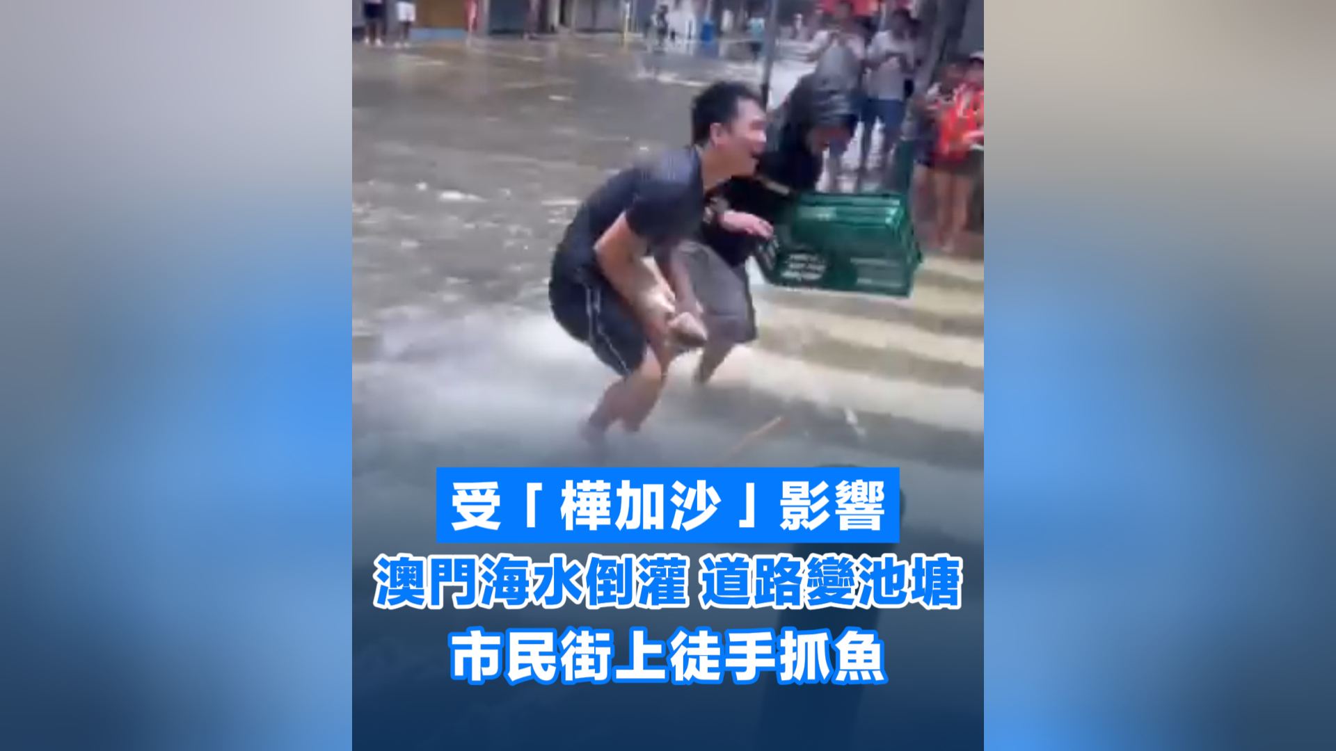 有片丨「樺加沙」襲澳 海水倒灌道路變池塘 市民街上徒手抓魚
