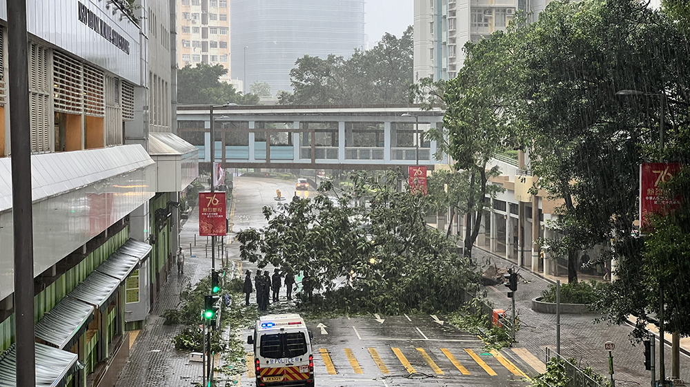直播｜直擊「樺加沙」動向