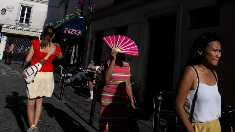 法國今夏基孔肯雅熱累計病例逼近600例