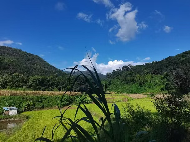 雨林深處的基諾女兒：莎溦與她的徒步夢想