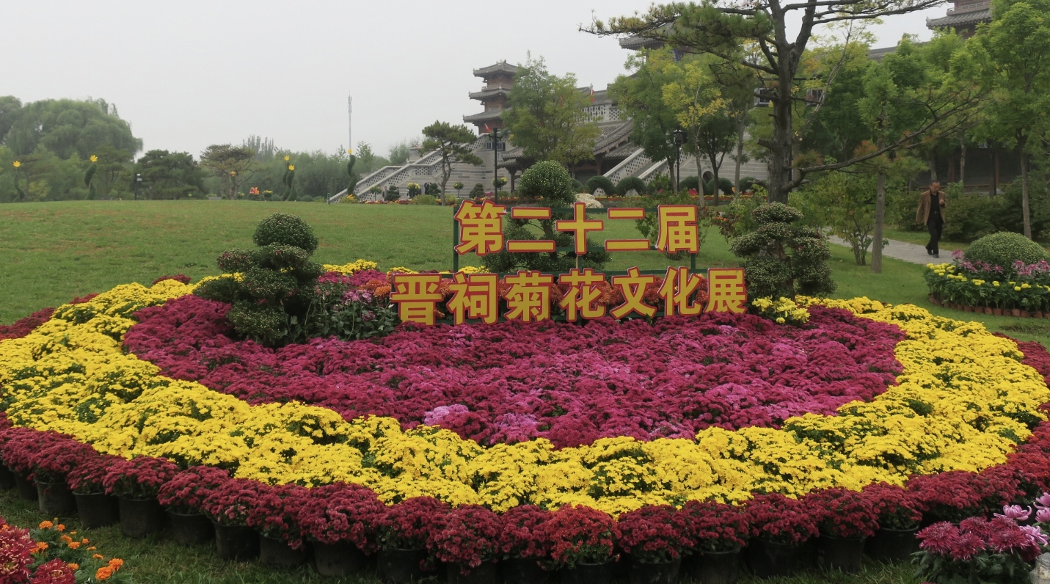 賞菊品史！山西太原晉祠菊展邀你赴千年文化之約