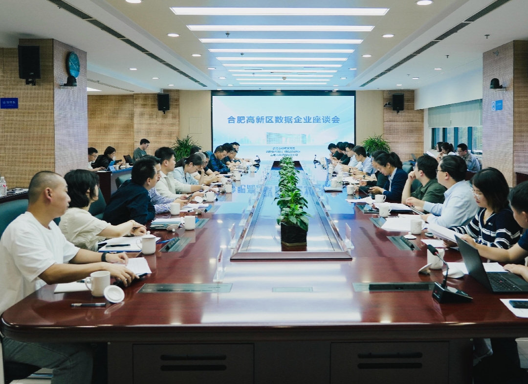 合肥高新區：匯聚數據合力 共創產業新篇