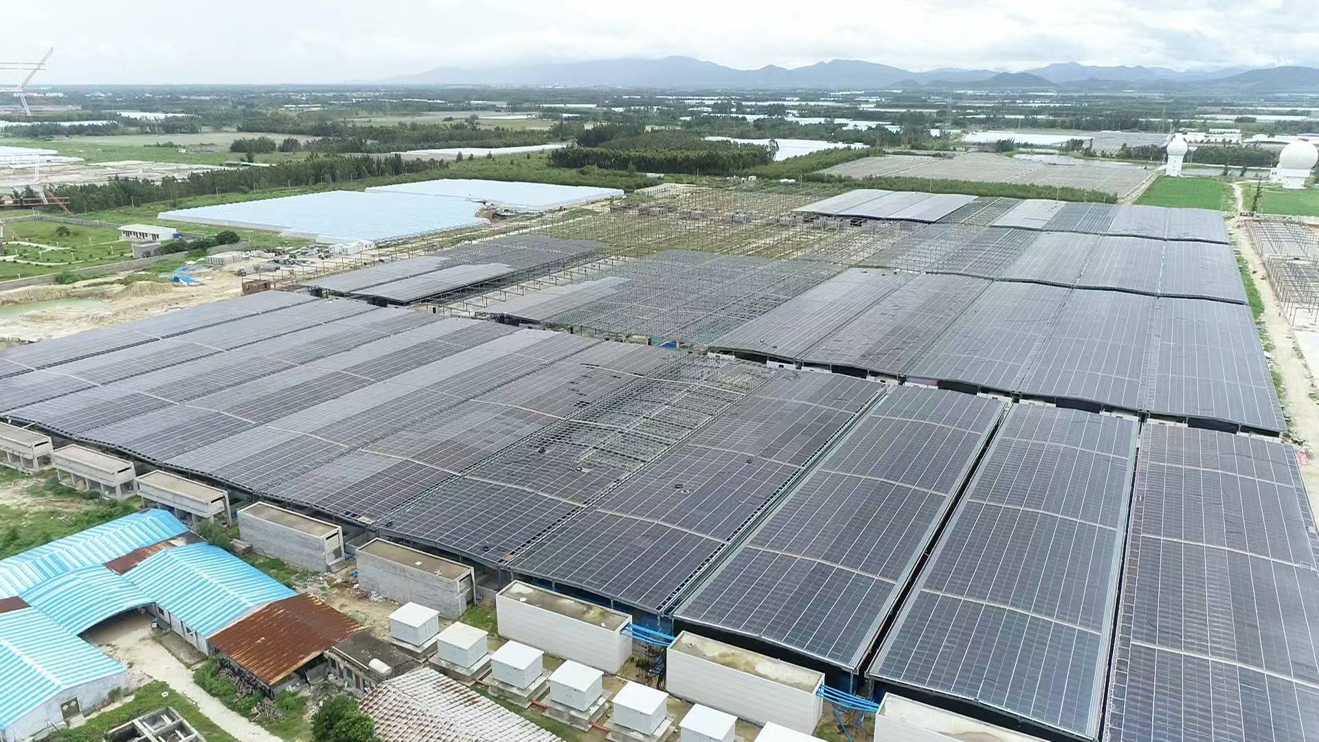 海南東方「藍色引擎」全速運轉 國家現代農業產業園激活水產集群發展活力