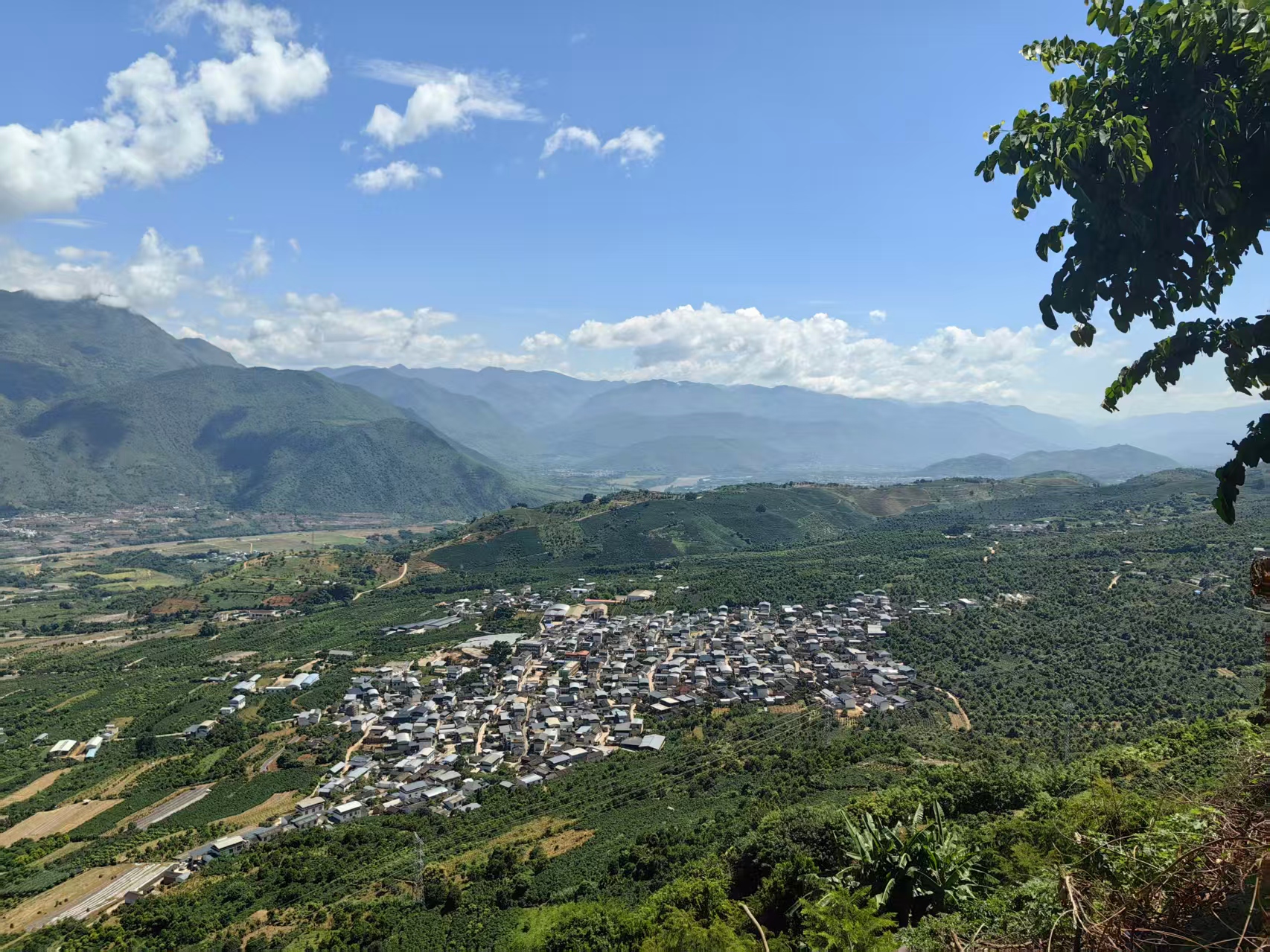 霞客行之江山多嬌，有一種叫雲南的生活走進「中國咖啡第一村」