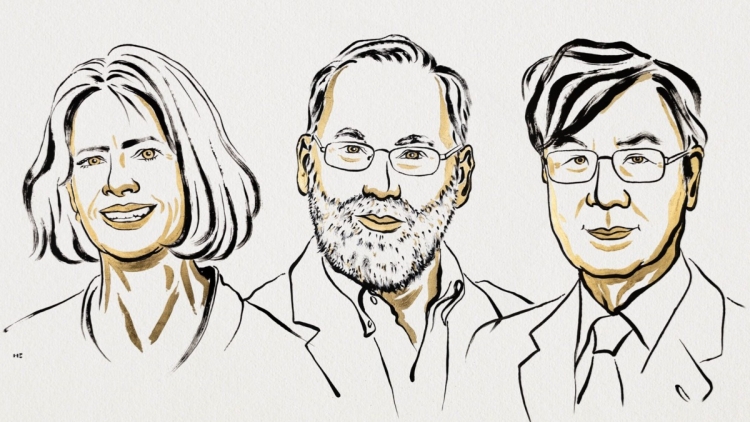 美日三名學者獲諾貝爾醫學獎 表揚研究外周免疫耐受