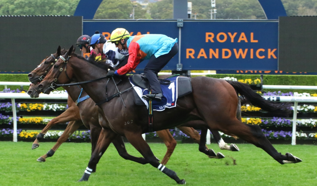 嘉應高昇蘭域馬場試閘跑第三 潘頓：表現合格仍須提升狀態