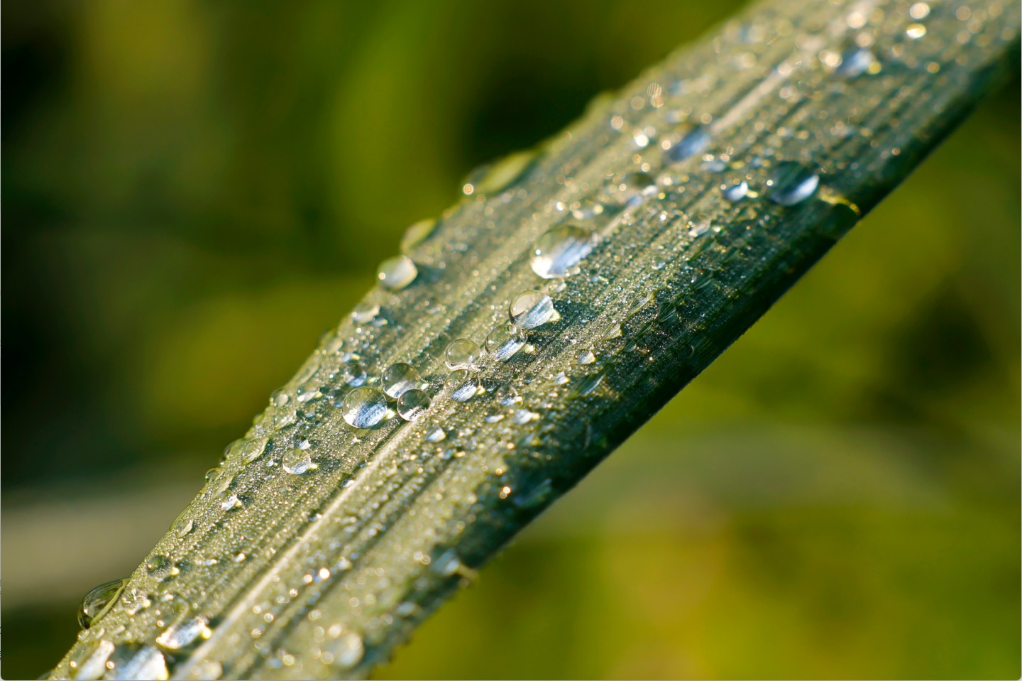 節氣專稿丨陳耀輝：寒露