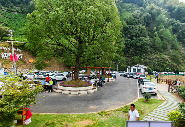 「風景+場景+情景」三景融合   皖休寧三棵樹景區假日經濟火熱