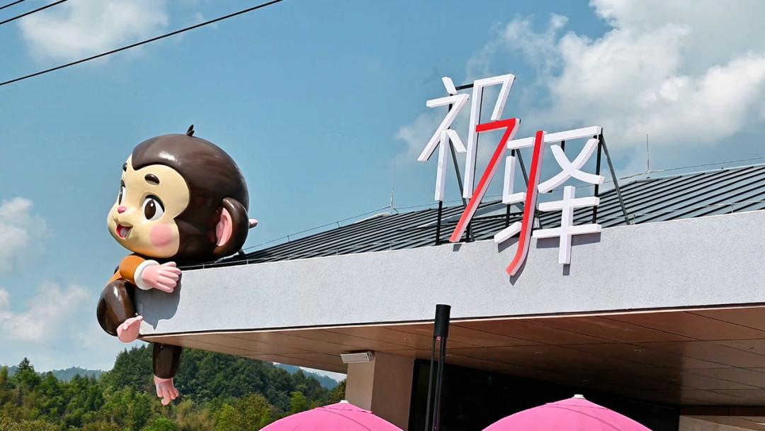 場景豐富文旅深融  皖祁門「雙節」瓷韻悠長猴趣多彩